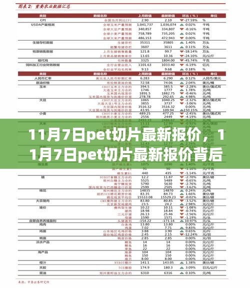 11月7日PET切片最新报价，市场变化中的学习之路与成就感的崛起之路