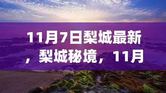 梨城秘境探索，11月7日自然之旅，寻找内心的平和宁静