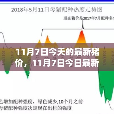 11月7日最新猪价分析与展望，今日猪价走势及未来趋势