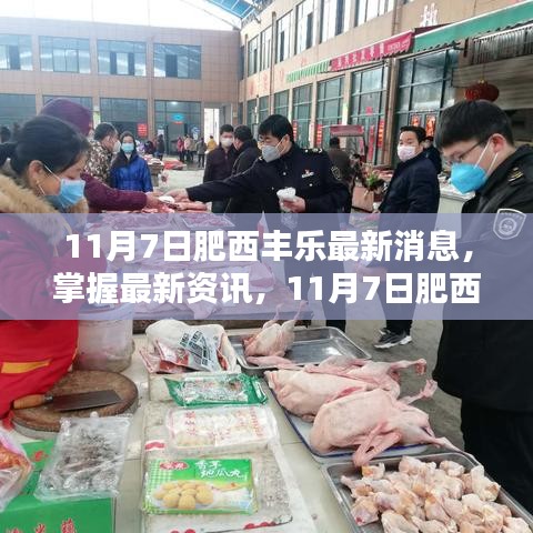 11月7日肥西丰乐最新消息与动态步骤指南