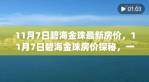 11月7日碧海金珠房价探秘，与自然美景的邂逅之旅