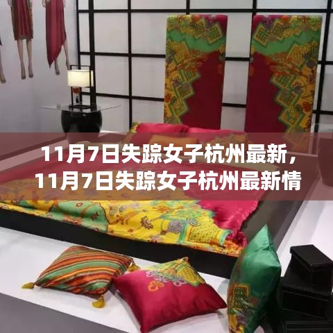 失踪女子杭州事件最新进展与动态深度探究