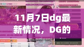 DG的温馨日常奇遇，十一月七日最新情况记录