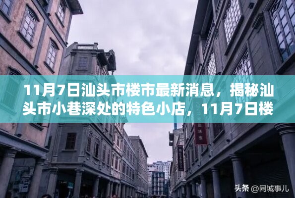 汕头市特色小店揭秘与楼市新风尚——11月7日最新消息