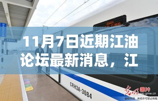 江油论坛最新动态解析及深度评测报告（11月7日）