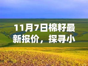 探寻棉籽宝藏，最新报价揭秘，小巷深处的商机在召唤（11月7日）