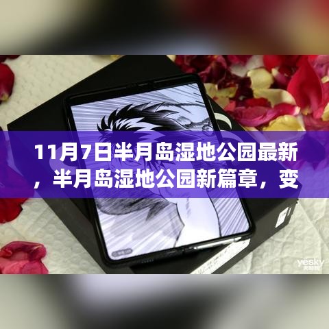 半月岛湿地公园新篇章，变化中的学习成就自信与成就之光