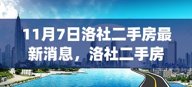 洛社二手房市场最新动态，家园变迁与自信之光的学习力量