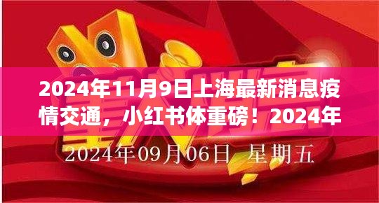 小红书独家揭秘，2024年11月9日上海疫情交通最新消息全解析