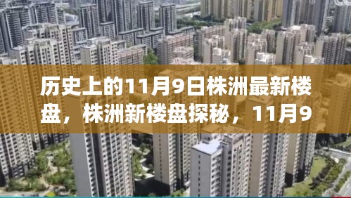 探寻株洲新楼盘，自然美景之旅与内心的宁静港湾——历史上的11月9日回顾与探秘