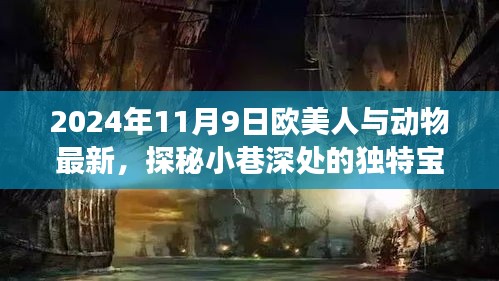 欧美人与动物独特宝藏揭秘，小巷深处的饕餮盛宴（2024年11月9日）