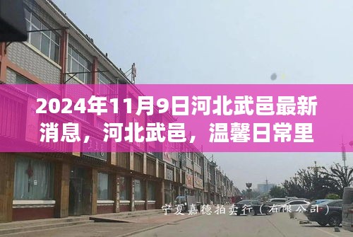 河北武邑美好时光——2024年11月9日的新篇章报道