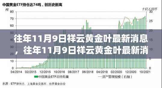 往年11月9日祥云黄金叶最新消息深度解析与评测报告，特性、体验、对比分析全解析