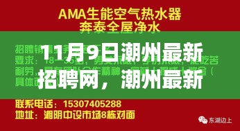 11月9日潮州最新招聘网动态，职场脉搏与回响