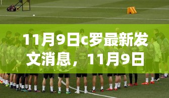 C罗最新发文消息评测，特性、体验、竞品对比及用户群体深度解析