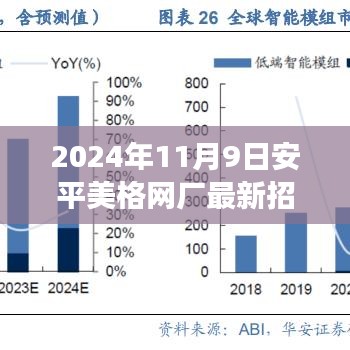 安平美格网厂最新招工信息解读，职位空缺与申请指南（2024年11月9日）