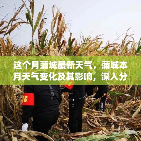 蒲城本月天气变化深度解析，影响及个人观点