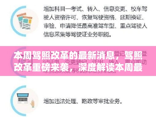 本周驾照改革最新动态，重磅调整深度解读及其深远影响