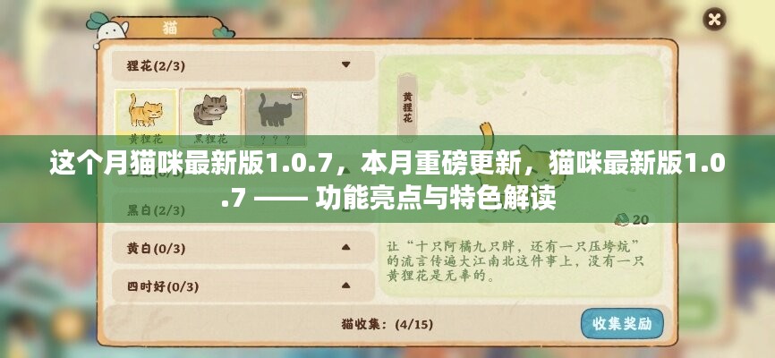 猫咪最新版1.0.7重磅更新，功能亮点与特色解读