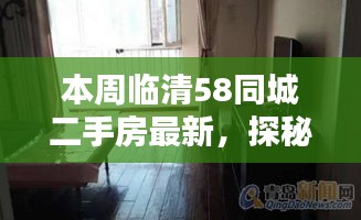 临清58同城二手房最新探秘，小巷隐藏宝藏与特色小店揭秘