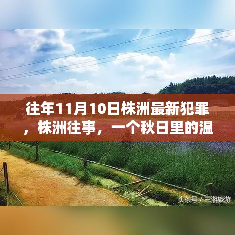 株洲秋日温情犯罪与友情的交织故事，昔日犯罪与往事的回顾