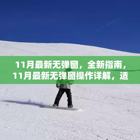 11月最新无弹窗操作指南，初学者与进阶用户必备