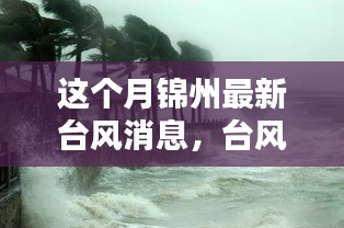 锦州最新台风消息解析，如何应对台风季节的挑战与保障安全？