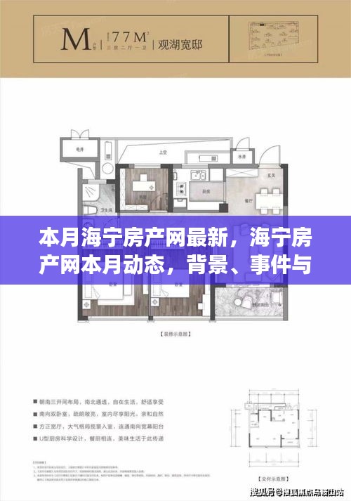 海宁房产网本月最新动态深度剖析，背景、事件与影响全解析