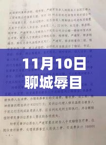 聊城辱母杀人案最新进展深度解析，11月10日更新