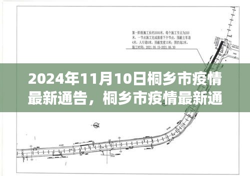 桐乡市疫情最新通告解读，聚焦要点，了解疫情动态（2024年11月10日版）