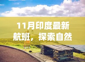 11月印度最新航班，自然美景之旅，探寻内心宁静与平和的旅程