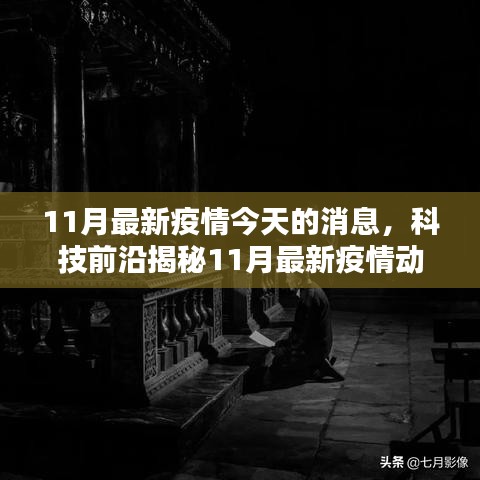 今日疫情资讯APP全新升级体验，揭秘智能生活助手在11月疫情动态下的前沿科技