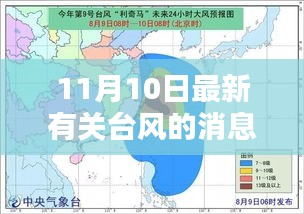 台风来袭如何应对与准备，最新台风消息步骤指南（11月10日更新）