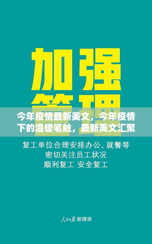 疫情下的温暖笔触，今年最新美文汇聚