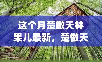 楚傲天林果儿心灵探索之旅，寻找本月的心灵宁静港湾