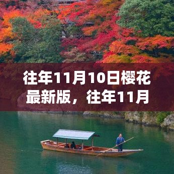 深度探讨与观点阐述，往年11月10日樱花最新版的魅力与变迁