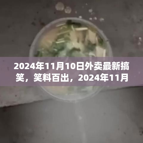 2024年11月10日外卖界的欢乐盛宴，笑料百出，欢乐时光无限