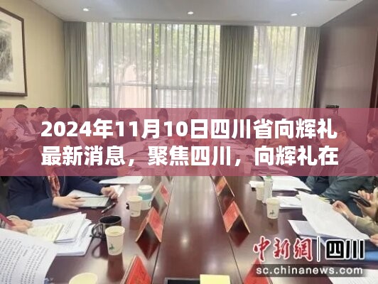 四川省向辉礼最新动态，聚焦向辉礼在2024年11月10日的最新消息