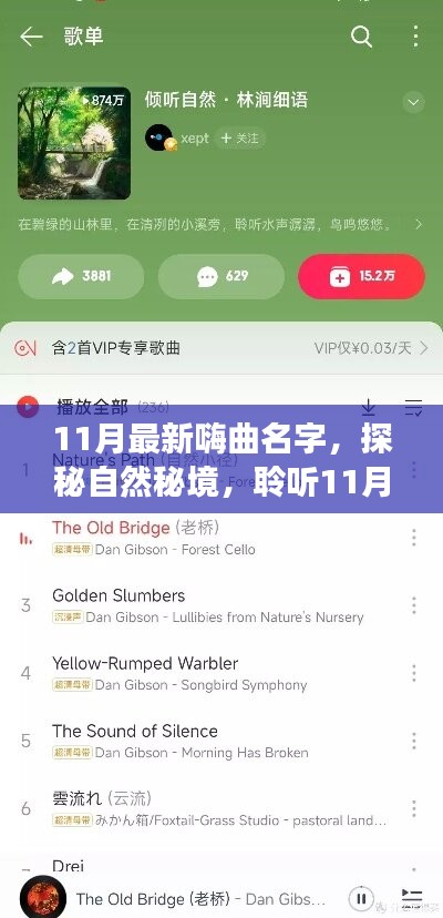 探秘自然秘境，聆听最新嗨曲，启程寻找内心平和之旅——十一月最新音乐推荐