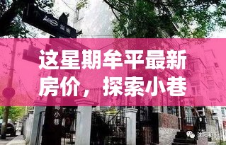 揭秘牟平最新房价与隐藏小巷秘境，本周特色小店一网打尽