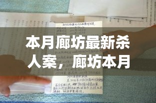 廊坊本月杀人案深度聚焦，观点之争与案件解析