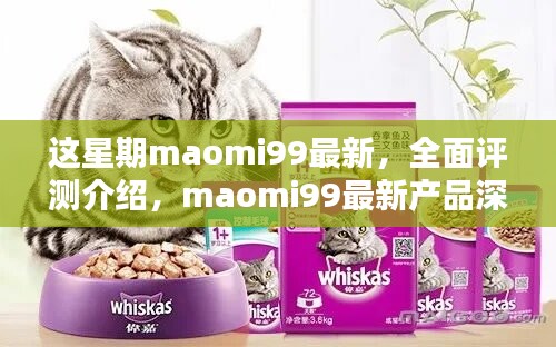 Maomi99最新产品全面评测与深度解析报告