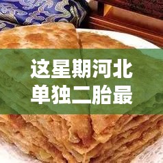 河北二胎政策最新动态，隐秘小巷中的二胎特色小店本周独家曝光