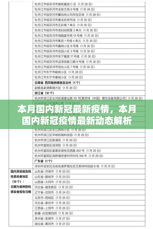 本月国内新冠疫情最新动态解析与报告