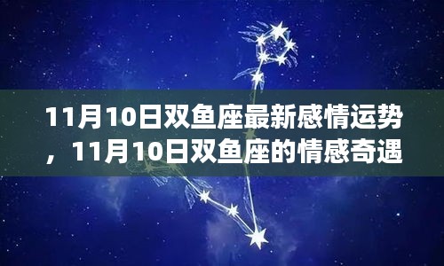 双鱼座情感奇遇记，巷弄深处的特色小店与11月10日的情感运势揭秘