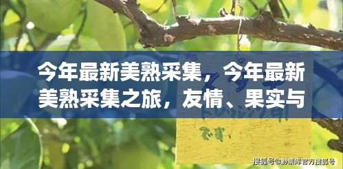 美熟之旅，友情、果实与家的温馨故事