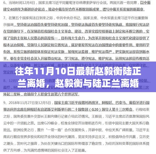 赵毅衡与陆正兰离婚事件，深度解析与反思的背后