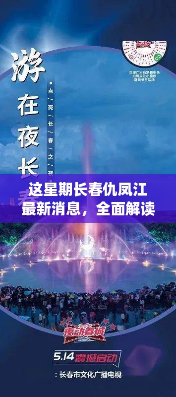 长春仇凤江最新动态深度解读与评测报告