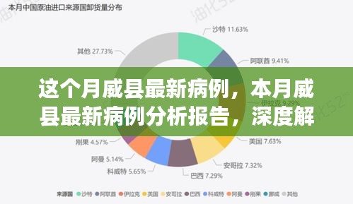 威县最新病例深度报告，特性解读、体验分析与竞争态势探讨