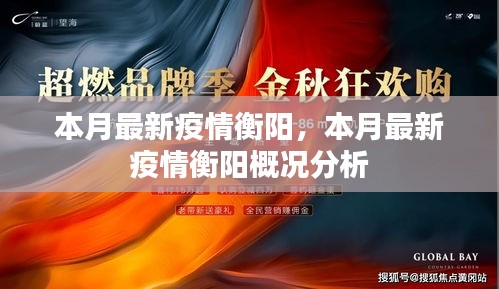 衡阳最新疫情概况分析，本月疫情动态与趋势解读